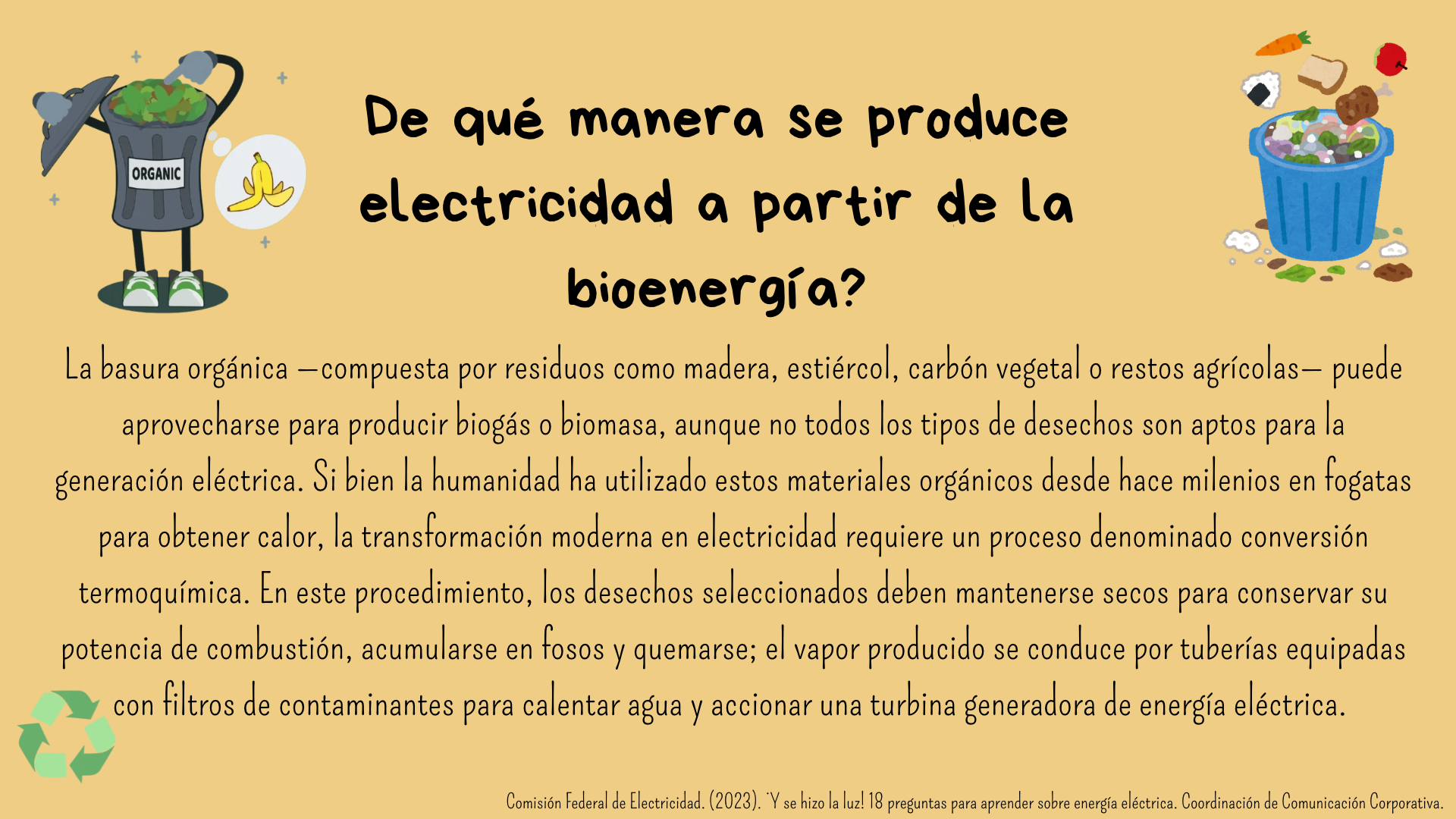¿De qué manera se produce electricidad a partir de la bioenergía?