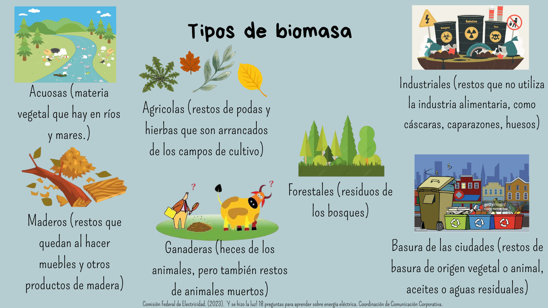 Tipos de biomasa