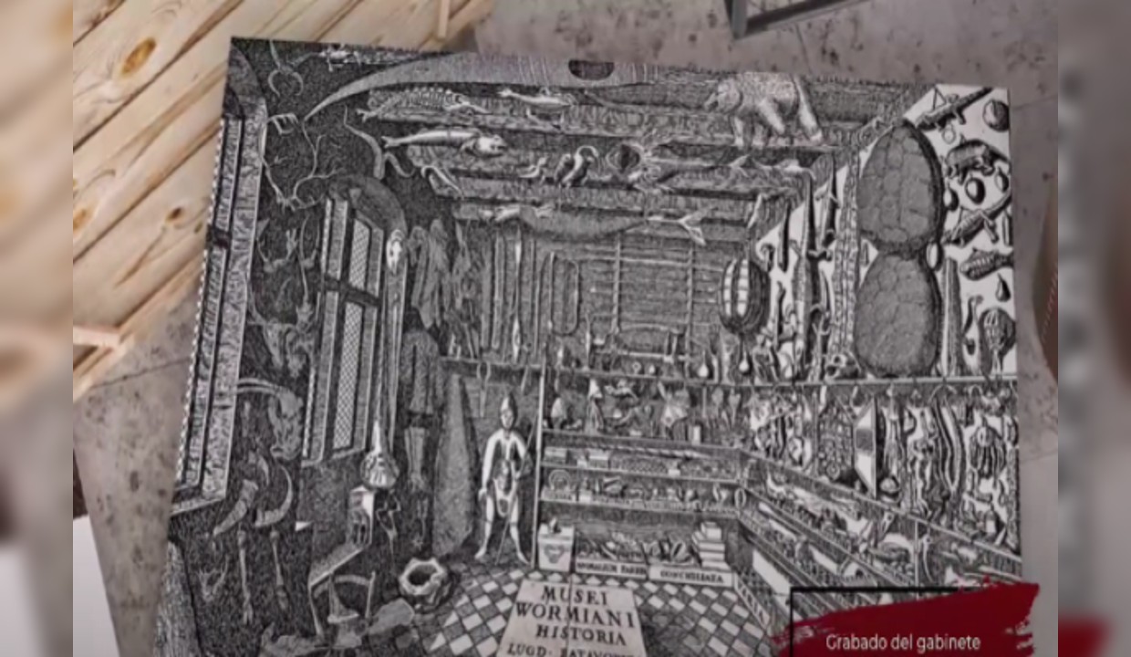 Gabinete de curiosidades