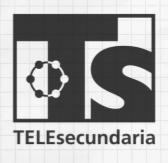 4.  Rally informativo