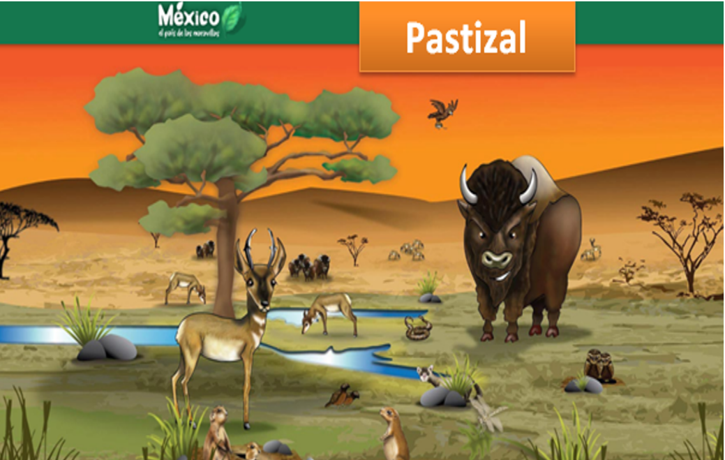 Características de las regiones naturales de México! – Aprende en Casa