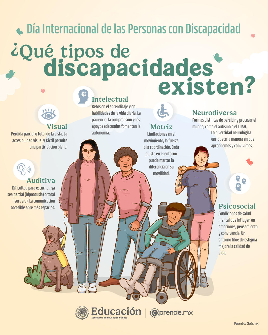 ¿Qué tipos de discapacidades existen?