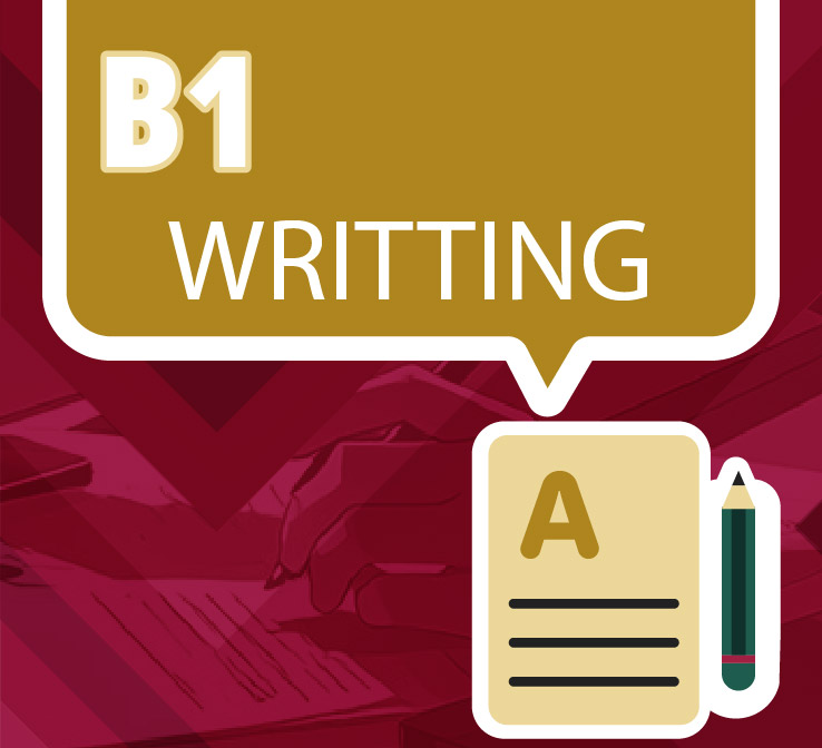 WB1. Describing a bar chart  (Exercise)