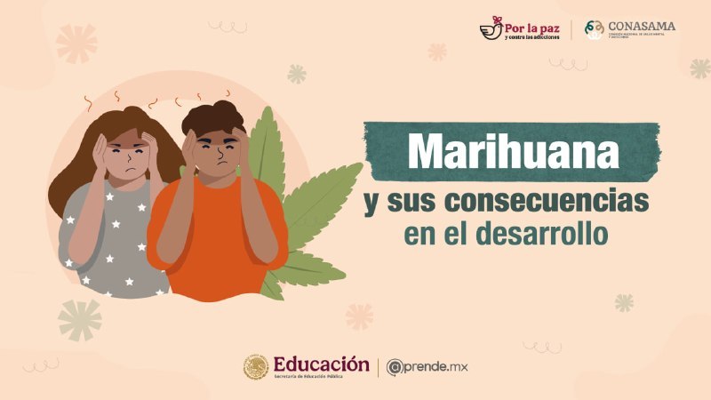 Marihuana y sus consecuencias en el desarrollo