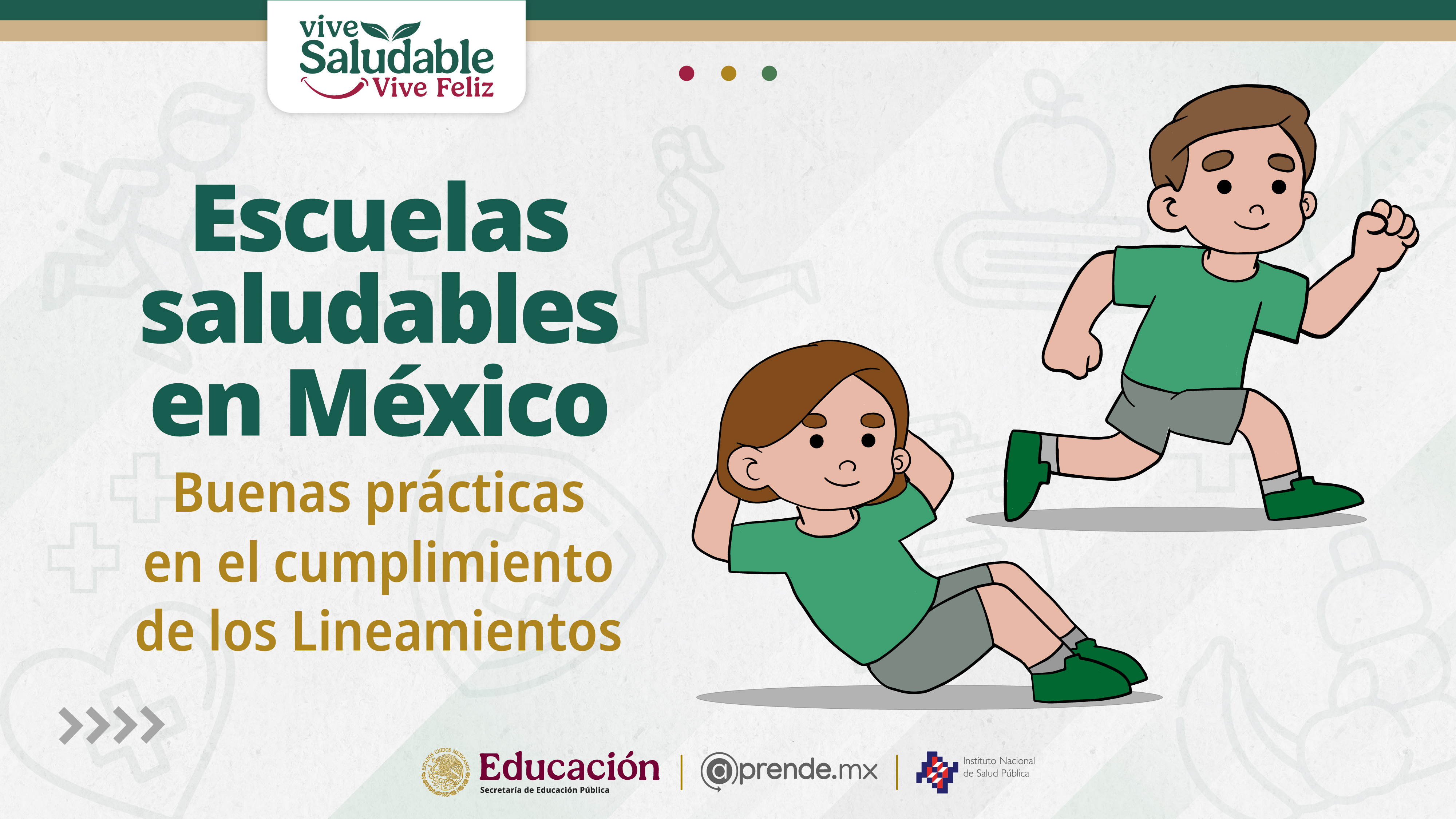 Escuelas saludables en México. Buenas prácticas en el cumplimiento de los Lineamientos
