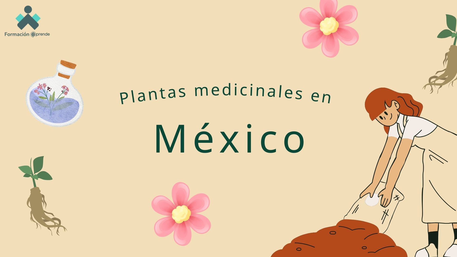 Plantas medicinales en México