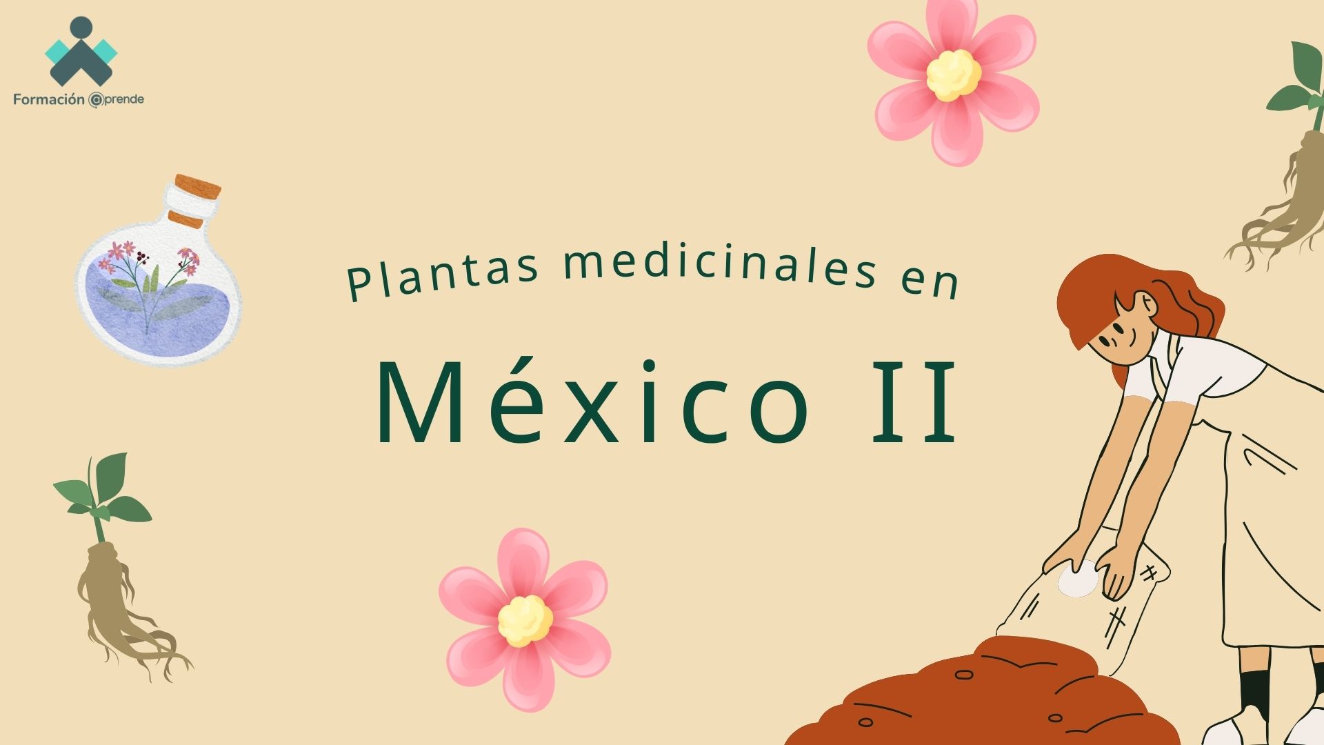 Plantas medicinales en México 2