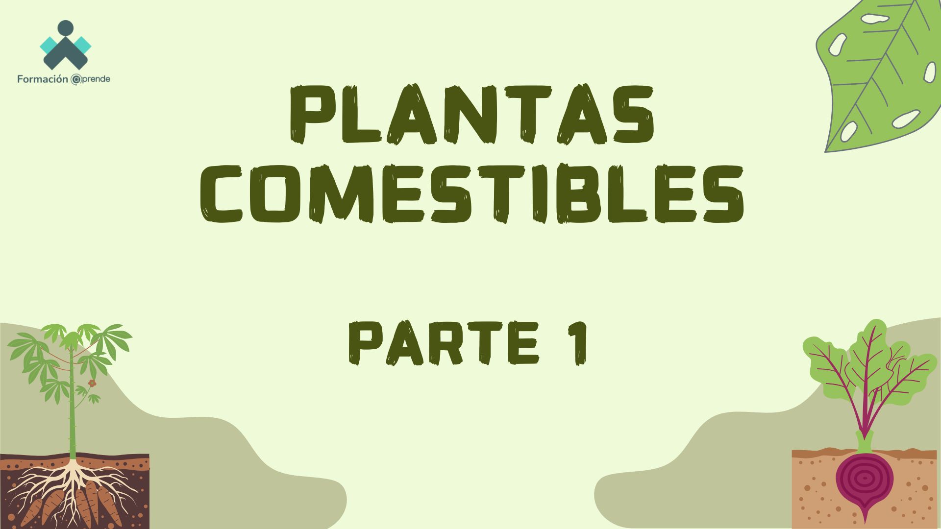 Plantas comestibles. Parte 1