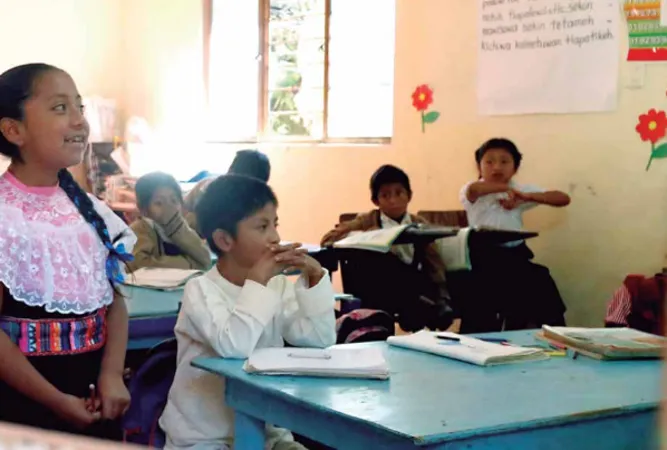 Educación indígena