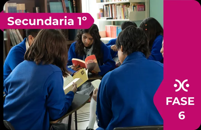 1° (Fase 6)